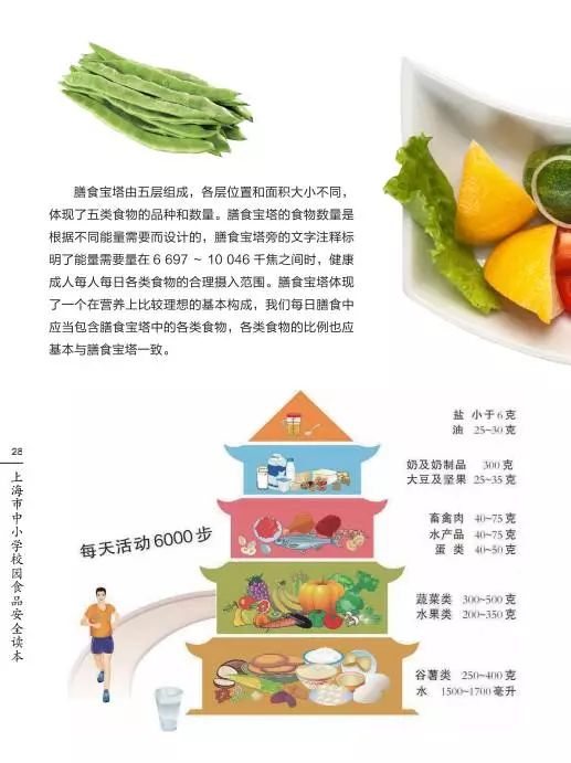 沪中小学校园食品安全读本覆盖全学段, 亮点逐个数 附光荣榜